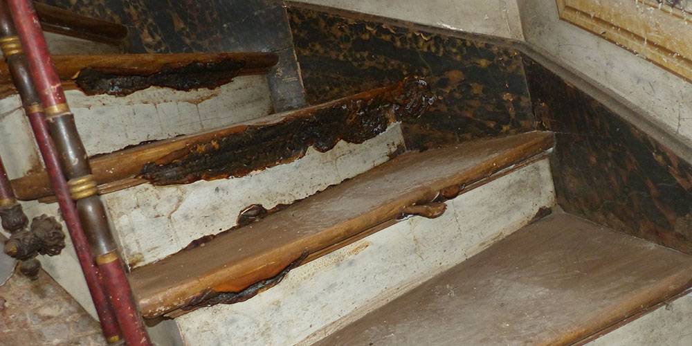 France-Merule-traitement-champignons-escalier