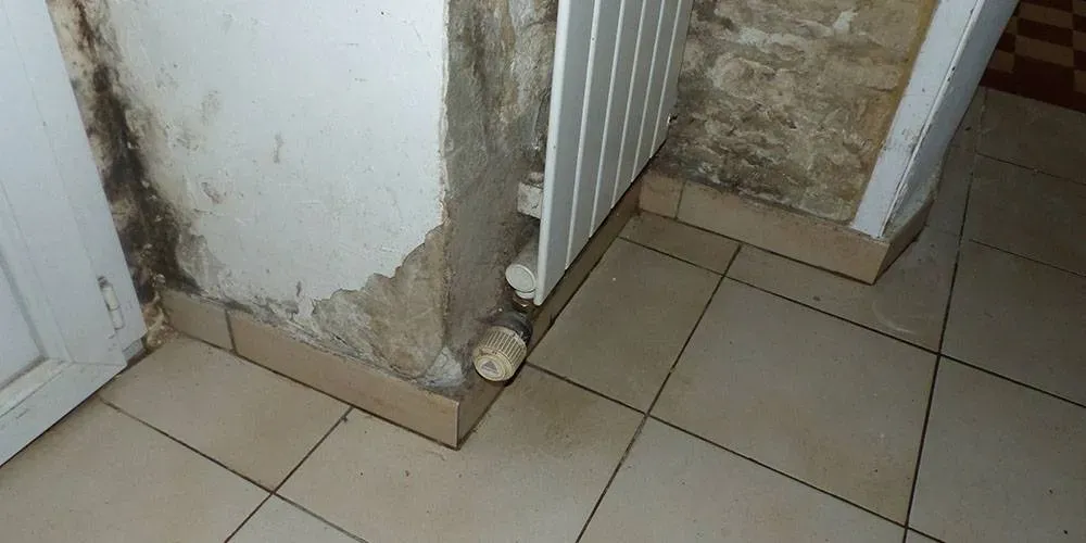 Humidité