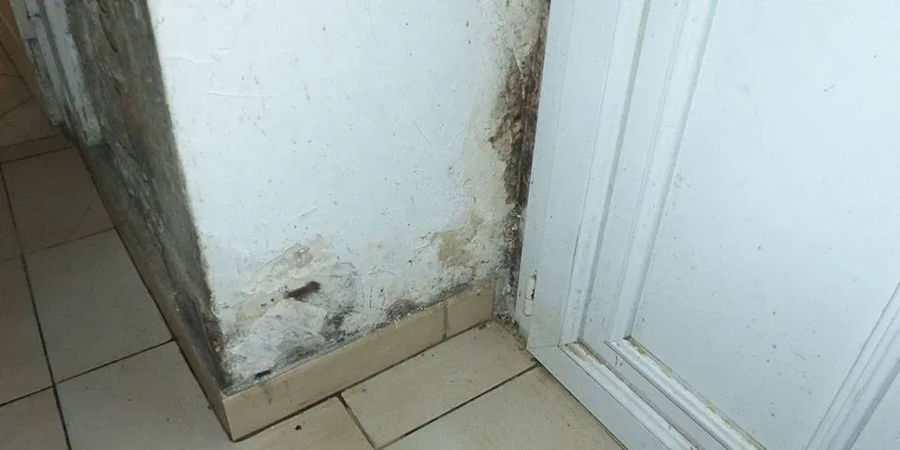 Humidité