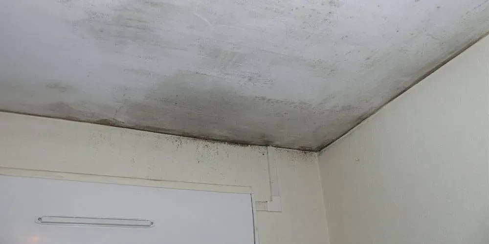 Traitement bois près de Lisieux