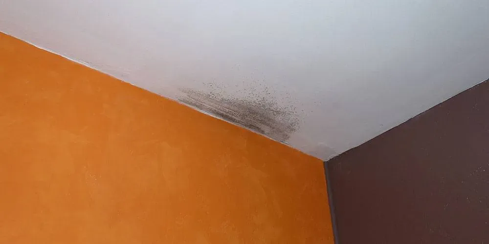 Ventilation